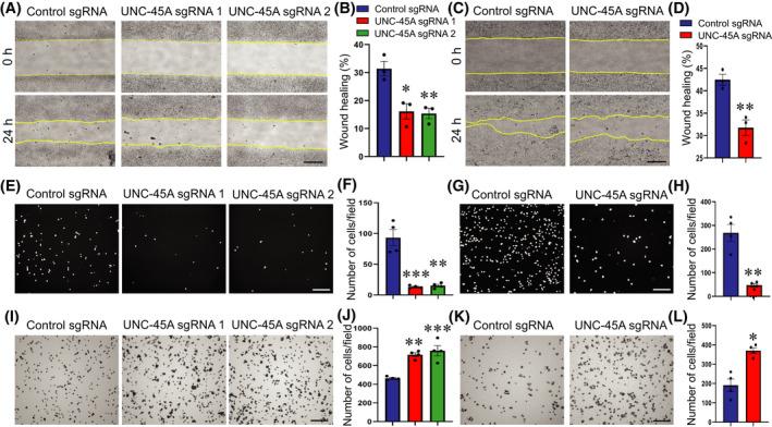 https://cdn.ncbi.nlm.nih.gov/pmc/blobs/a6ae/9310778/d248c31221b7/FSB2-36-0-g002.jpg