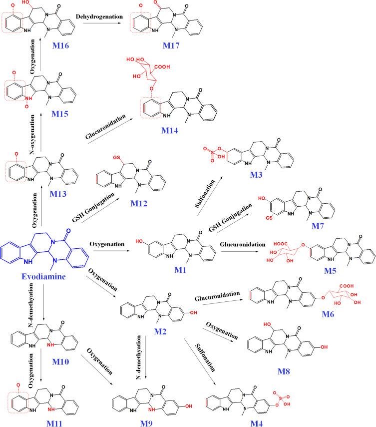 https://cdn.ncbi.nlm.nih.gov/pmc/blobs/a6af/11430234/5873eb694d1e/IJN-19-9843-g0002.jpg