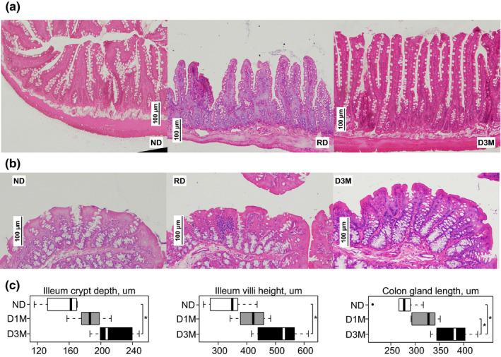 https://cdn.ncbi.nlm.nih.gov/pmc/blobs/a6b4/8606862/33b88886230b/PHY2-9-e15102-g001.jpg