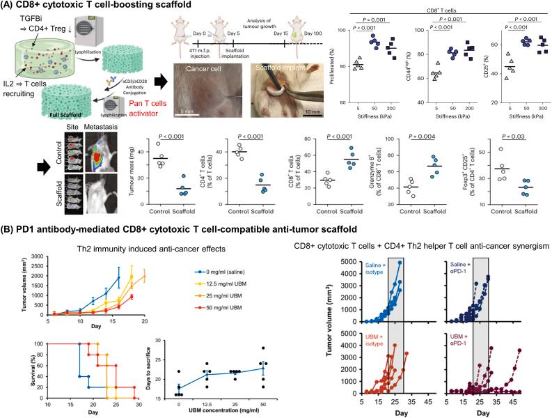 https://cdn.ncbi.nlm.nih.gov/pmc/blobs/a6b5/11350271/25e701631163/gr6.jpg