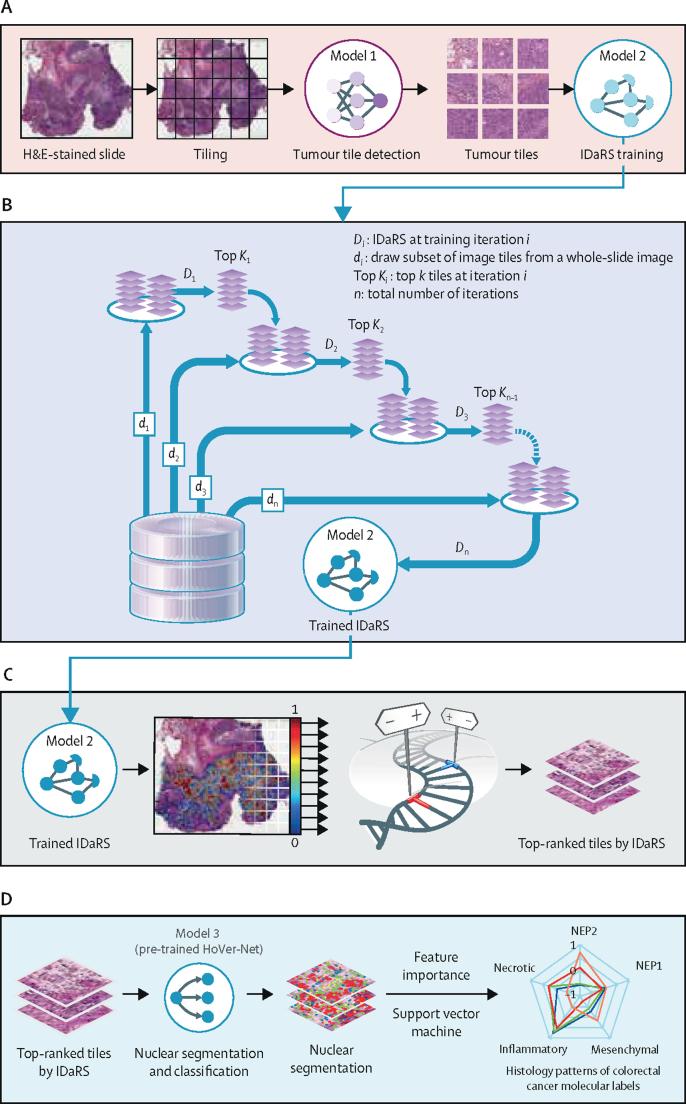 https://cdn.ncbi.nlm.nih.gov/pmc/blobs/a6b6/8609154/c08cf973d7ba/gr1.jpg