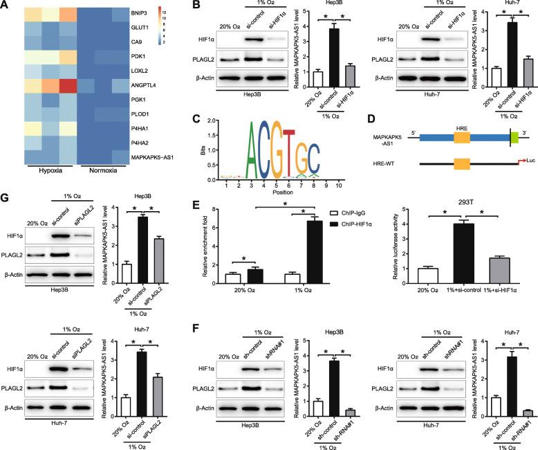 https://cdn.ncbi.nlm.nih.gov/pmc/blobs/a6b7/7891009/164df0edd401/13046_2021_1868_Fig9_HTML.jpg