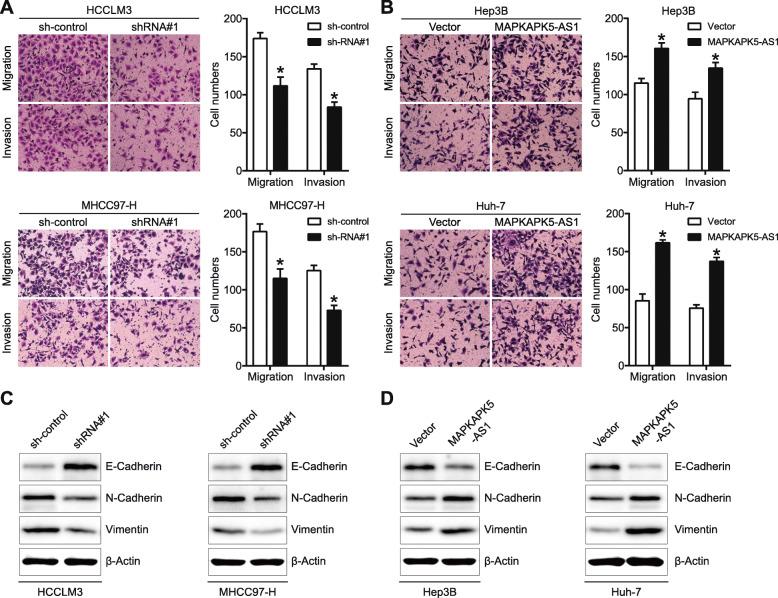 https://cdn.ncbi.nlm.nih.gov/pmc/blobs/a6b7/7891009/76310b1a9888/13046_2021_1868_Fig3_HTML.jpg