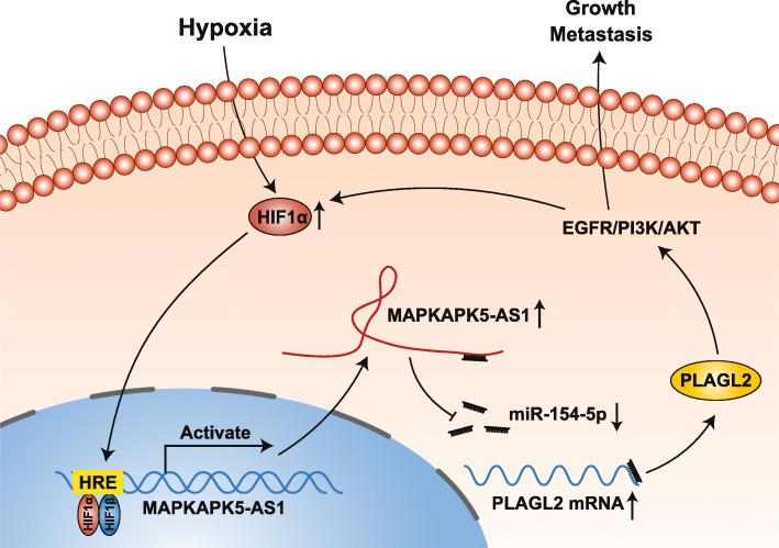 https://cdn.ncbi.nlm.nih.gov/pmc/blobs/a6b7/7891009/b9b12f1b8675/13046_2021_1868_Fig10_HTML.jpg