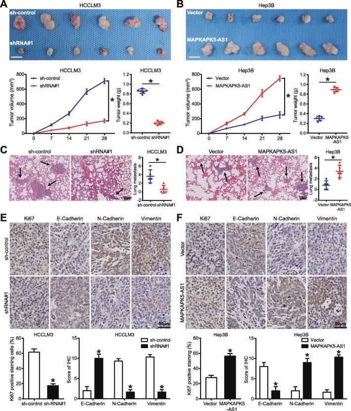 https://cdn.ncbi.nlm.nih.gov/pmc/blobs/a6b7/7891009/d642d5777726/13046_2021_1868_Fig4_HTML.jpg