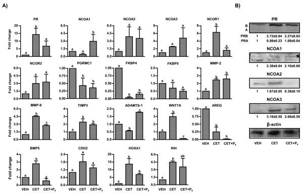 https://cdn.ncbi.nlm.nih.gov/pmc/blobs/a6b8/3038151/339a00c3370e/1477-7827-9-20-4.jpg