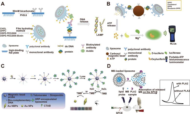 https://cdn.ncbi.nlm.nih.gov/pmc/blobs/a6bb/12036244/5656e2179df7/12944_2025_2578_Fig6_HTML.jpg