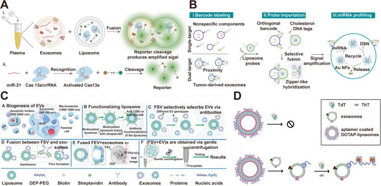 https://cdn.ncbi.nlm.nih.gov/pmc/blobs/a6bb/12036244/9c3358504f98/12944_2025_2578_Fig5_HTML.jpg