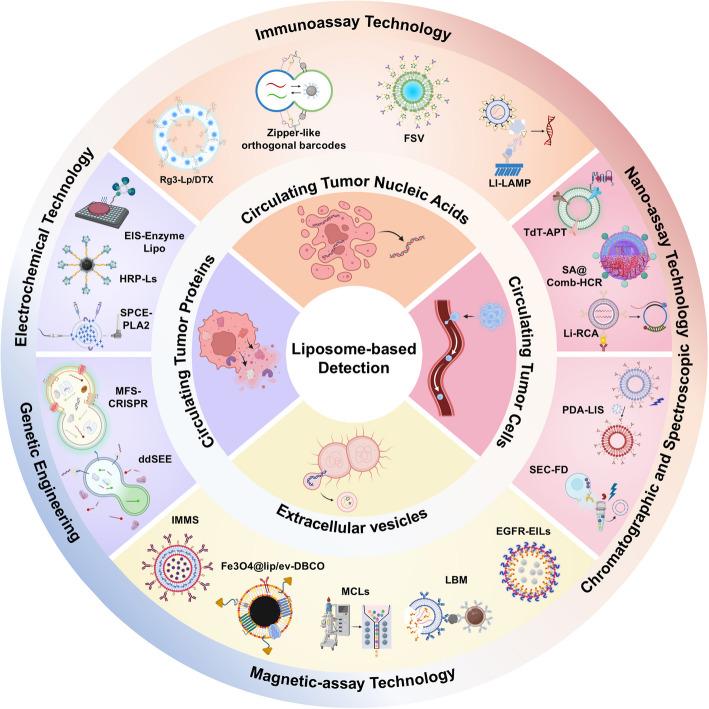 https://cdn.ncbi.nlm.nih.gov/pmc/blobs/a6bb/12036244/abd4671eaec9/12944_2025_2578_Fig1_HTML.jpg