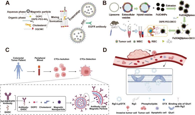 https://cdn.ncbi.nlm.nih.gov/pmc/blobs/a6bb/12036244/b7c8306ebcc1/12944_2025_2578_Fig3_HTML.jpg
