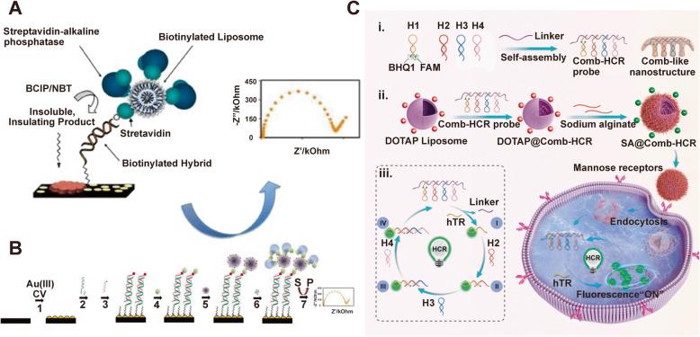 https://cdn.ncbi.nlm.nih.gov/pmc/blobs/a6bb/12036244/c8d1add114b9/12944_2025_2578_Fig7_HTML.jpg