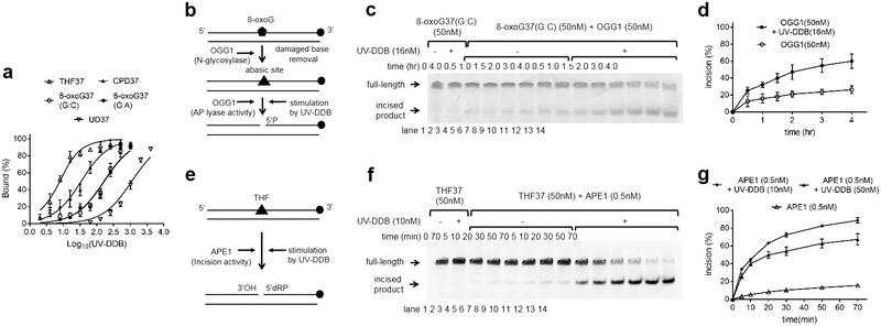 https://cdn.ncbi.nlm.nih.gov/pmc/blobs/a6bb/6684372/72c4fc7c2022/nihms-1530419-f0001.jpg