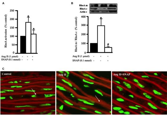 https://cdn.ncbi.nlm.nih.gov/pmc/blobs/a6bd/4823273/ae023e7e2e0b/fphar-07-00086-g003.jpg