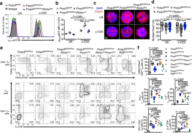 https://cdn.ncbi.nlm.nih.gov/pmc/blobs/a6c0/6707855/4c369dc693ff/nihms-1531277-f0005.jpg