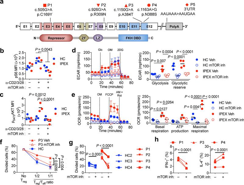 https://cdn.ncbi.nlm.nih.gov/pmc/blobs/a6c0/6707855/cc517fc1cd1b/nihms-1531277-f0008.jpg