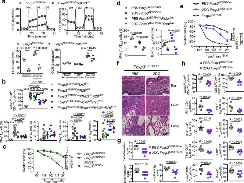 https://cdn.ncbi.nlm.nih.gov/pmc/blobs/a6c0/6707855/d1395471f76b/nihms-1531277-f0007.jpg