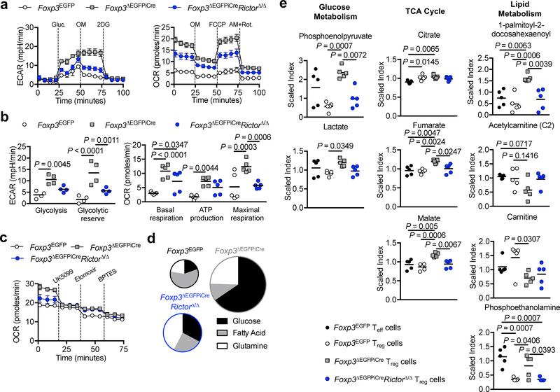 https://cdn.ncbi.nlm.nih.gov/pmc/blobs/a6c0/6707855/de375fd196be/nihms-1531277-f0006.jpg