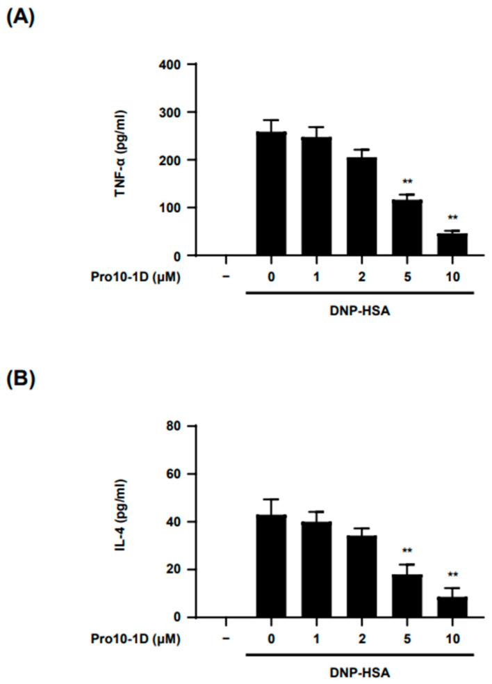 https://cdn.ncbi.nlm.nih.gov/pmc/blobs/a6c1/11594534/8a7553feef89/ijms-25-12138-g003.jpg