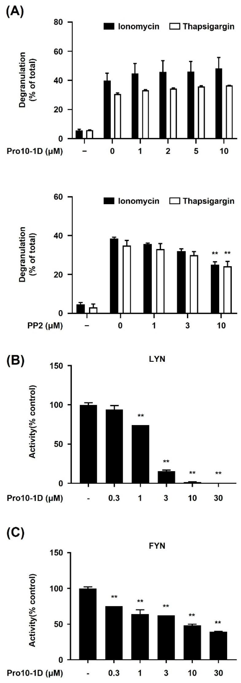 https://cdn.ncbi.nlm.nih.gov/pmc/blobs/a6c1/11594534/c4a1ed1f5ad3/ijms-25-12138-g005.jpg