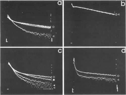https://cdn.ncbi.nlm.nih.gov/pmc/blobs/a6c2/1457315/345842c103d3/immunology00262-0214-a.jpg