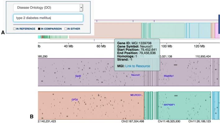 https://cdn.ncbi.nlm.nih.gov/pmc/blobs/a6c2/6892358/30cec6f63e0b/335_2019_9821_Fig3_HTML.jpg