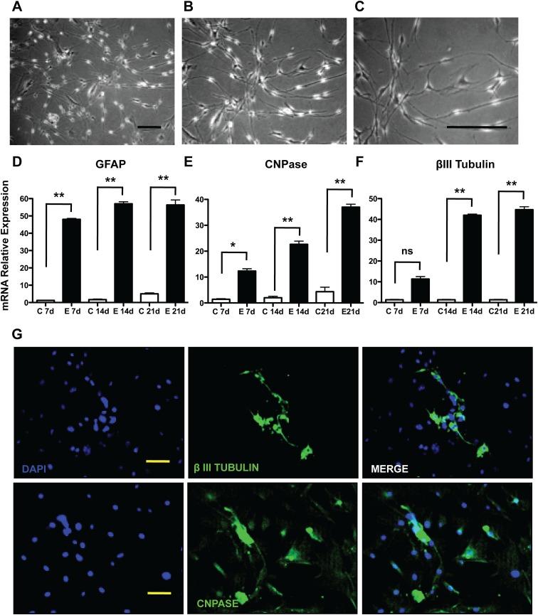 https://cdn.ncbi.nlm.nih.gov/pmc/blobs/a6c3/4604199/12cfeef7cd4a/pone.0140143.g003.jpg