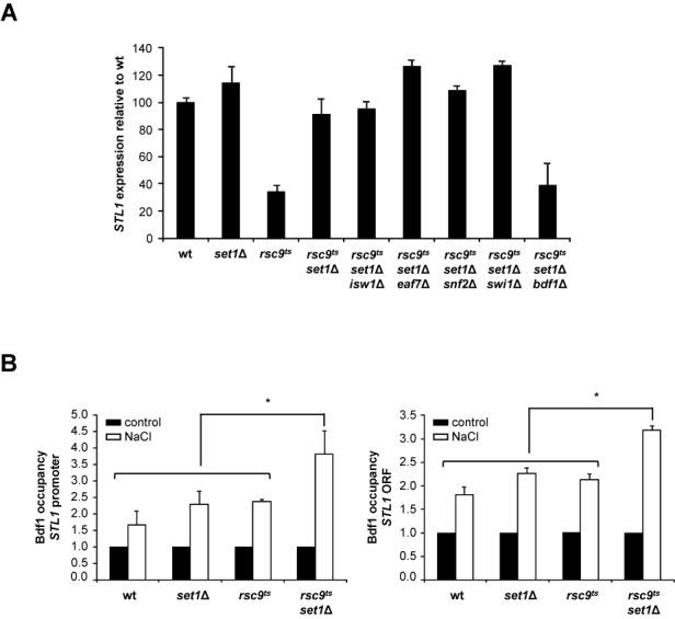 https://cdn.ncbi.nlm.nih.gov/pmc/blobs/a6c6/4446418/592d404724c9/gkv220fig5.jpg