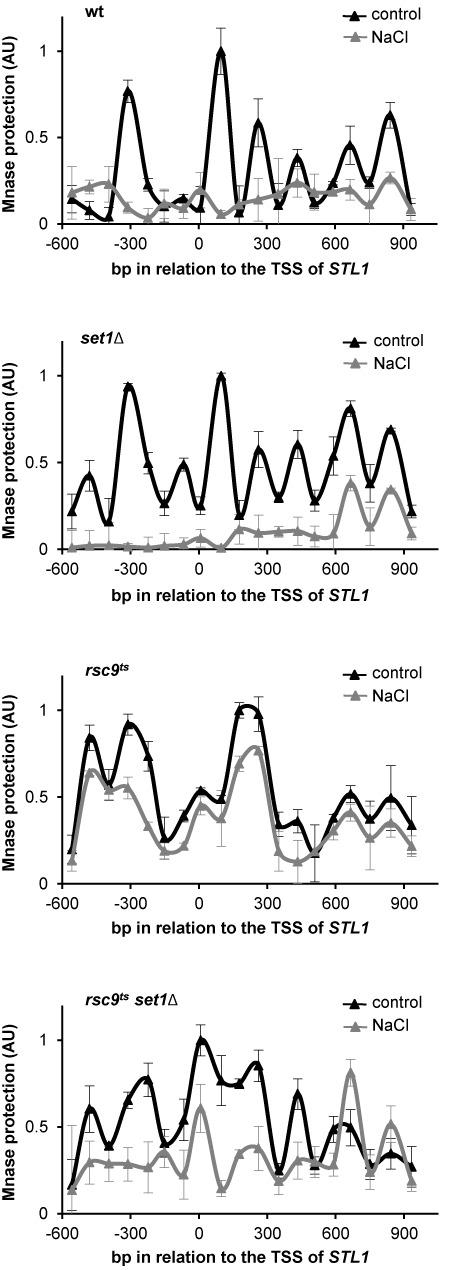 https://cdn.ncbi.nlm.nih.gov/pmc/blobs/a6c6/4446418/e714c77db050/gkv220fig2.jpg