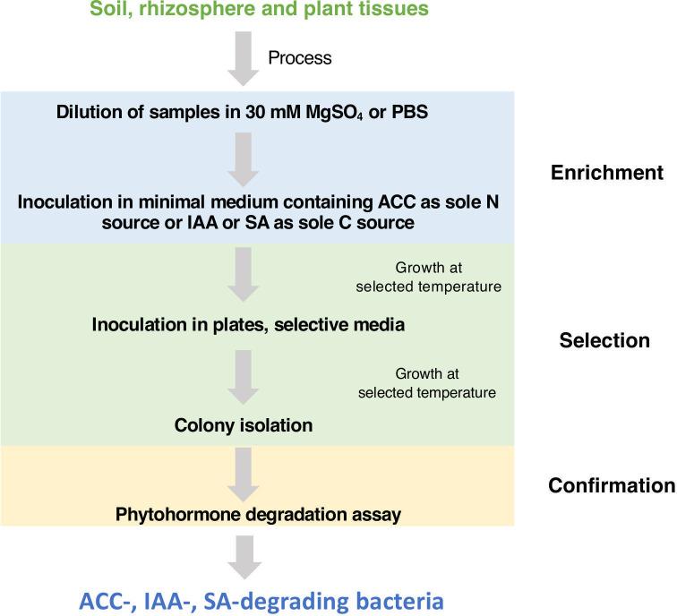 https://cdn.ncbi.nlm.nih.gov/pmc/blobs/a6c6/7481731/3bddedf99f79/acmi-1-053-g001.jpg