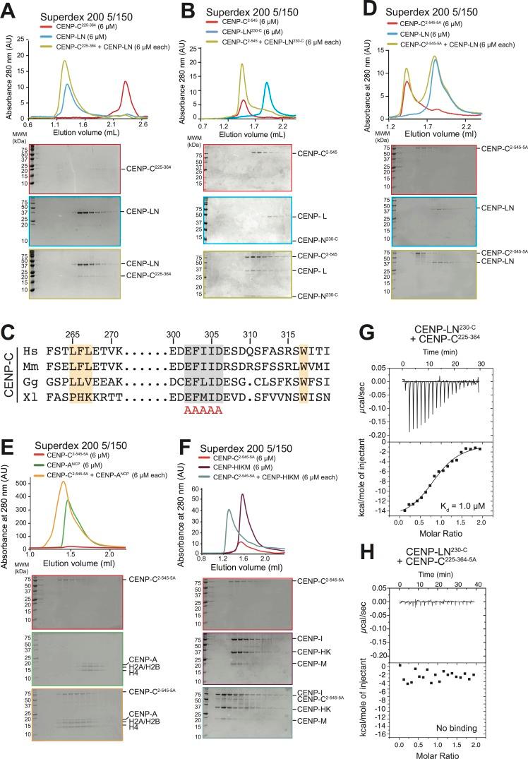https://cdn.ncbi.nlm.nih.gov/pmc/blobs/a6c7/5777823/495228f29929/elife-33442-fig5.jpg