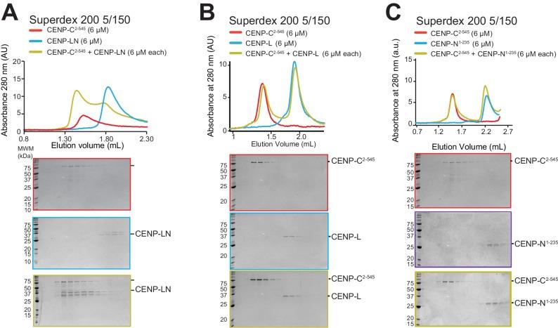 https://cdn.ncbi.nlm.nih.gov/pmc/blobs/a6c7/5777823/d1cc098a3a94/elife-33442-fig5-figsupp1.jpg
