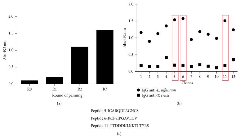 https://cdn.ncbi.nlm.nih.gov/pmc/blobs/a6c9/4325972/6686d34024e9/BMRI2015-401509.002.jpg