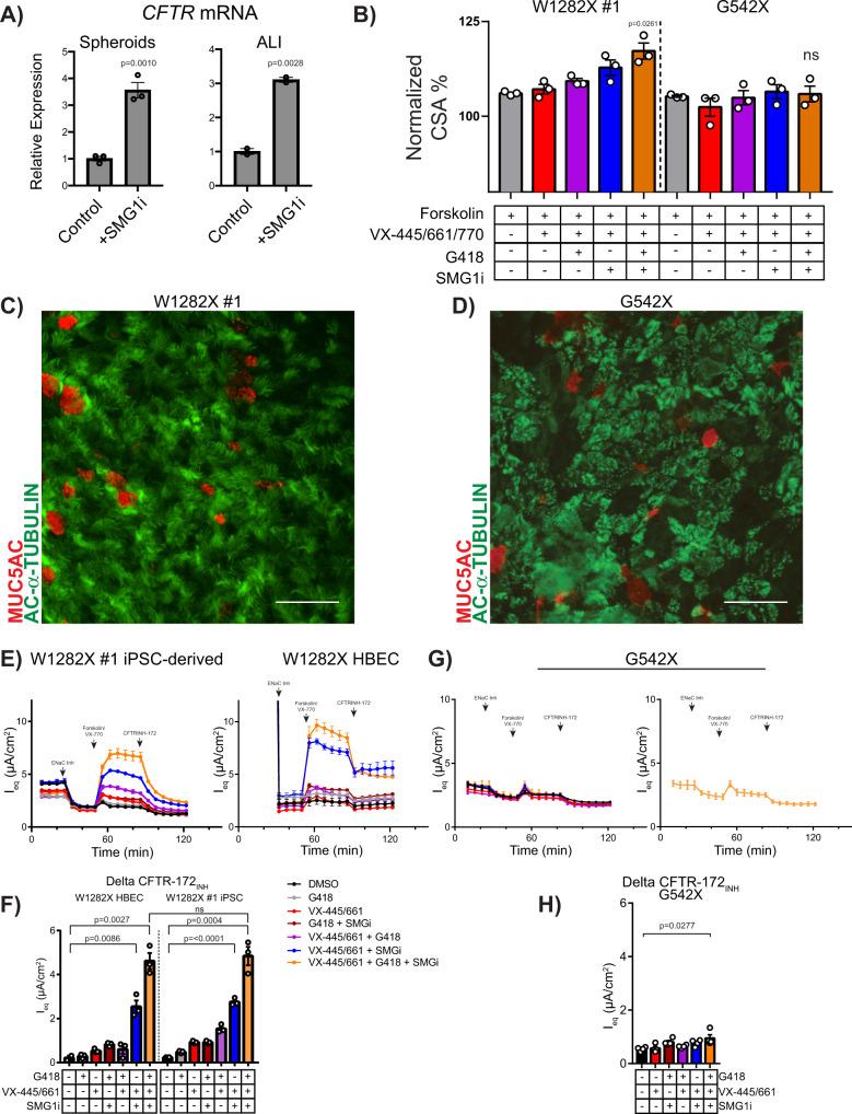 https://cdn.ncbi.nlm.nih.gov/pmc/blobs/a6c9/9338271/30744c6922ad/41467_2022_31854_Fig5_HTML.jpg
