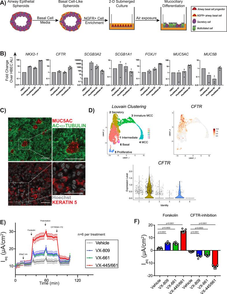 https://cdn.ncbi.nlm.nih.gov/pmc/blobs/a6c9/9338271/5e35afd21063/41467_2022_31854_Fig4_HTML.jpg