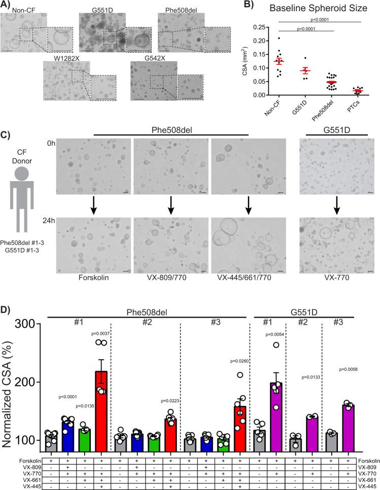https://cdn.ncbi.nlm.nih.gov/pmc/blobs/a6c9/9338271/f5d21bbfca26/41467_2022_31854_Fig3_HTML.jpg