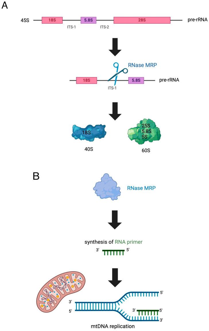 https://cdn.ncbi.nlm.nih.gov/pmc/blobs/a6ca/11172938/301128325bdc/jcm-13-03022-g002a.jpg