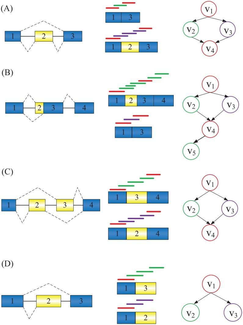 https://cdn.ncbi.nlm.nih.gov/pmc/blobs/a6ca/4133164/4f070e6130f8/pcbi.1003737.g004.jpg
