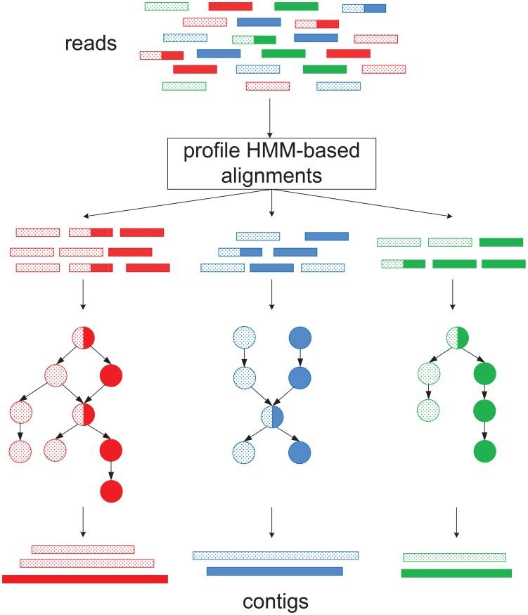 https://cdn.ncbi.nlm.nih.gov/pmc/blobs/a6ca/4133164/bbf724463435/pcbi.1003737.g001.jpg