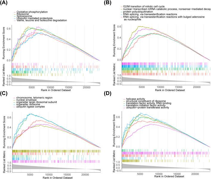 https://cdn.ncbi.nlm.nih.gov/pmc/blobs/a6cb/12263368/22954281a382/fgene-16-1609439-g004.jpg