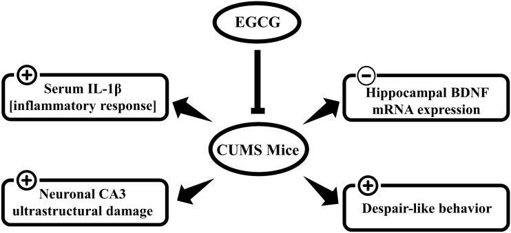 https://cdn.ncbi.nlm.nih.gov/pmc/blobs/a6cb/9546794/7126df9da122/11064_2022_3707_Fig6_HTML.jpg