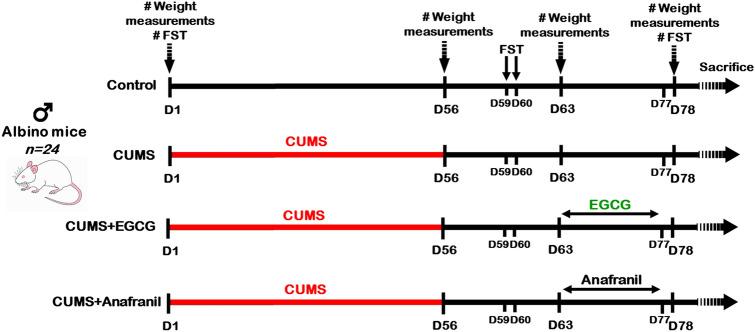 https://cdn.ncbi.nlm.nih.gov/pmc/blobs/a6cb/9546794/9205579196e1/11064_2022_3707_Fig1_HTML.jpg
