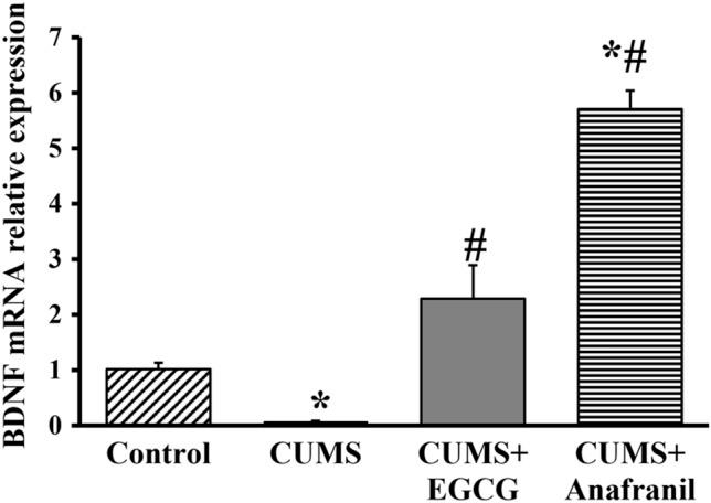 https://cdn.ncbi.nlm.nih.gov/pmc/blobs/a6cb/9546794/eaa43d5759e0/11064_2022_3707_Fig4_HTML.jpg