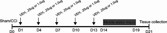 https://cdn.ncbi.nlm.nih.gov/pmc/blobs/a6cc/11155101/1f8841f2c275/12974_2024_3129_Fig1_HTML.jpg