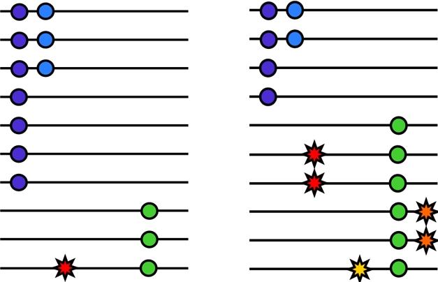 https://cdn.ncbi.nlm.nih.gov/pmc/blobs/a6cc/3022527/6070eda5909d/pbio.1000580.g001.jpg