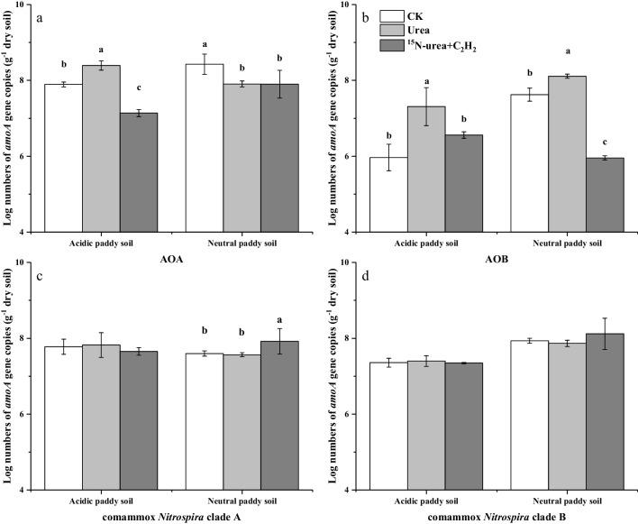 https://cdn.ncbi.nlm.nih.gov/pmc/blobs/a6cd/11126484/6c29801b9856/253_2024_13170_Fig2_HTML.jpg