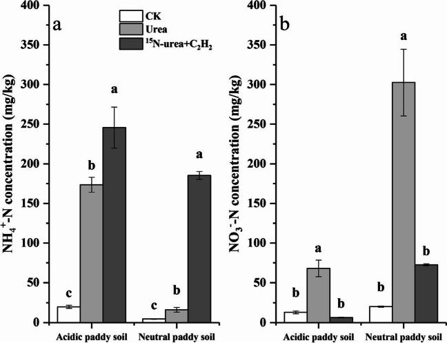 https://cdn.ncbi.nlm.nih.gov/pmc/blobs/a6cd/11126484/d8e196b66a92/253_2024_13170_Fig1_HTML.jpg