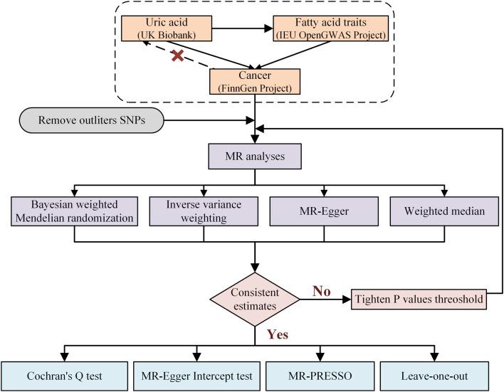 https://cdn.ncbi.nlm.nih.gov/pmc/blobs/a6cd/11646984/e354c869d40d/fgene-15-1449205-g001.jpg