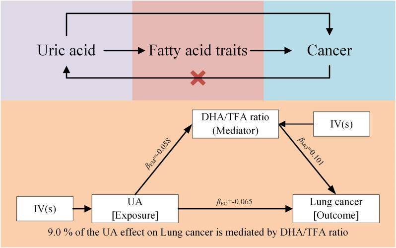 https://cdn.ncbi.nlm.nih.gov/pmc/blobs/a6cd/11646984/e49c9cd398e5/fgene-15-1449205-g005.jpg