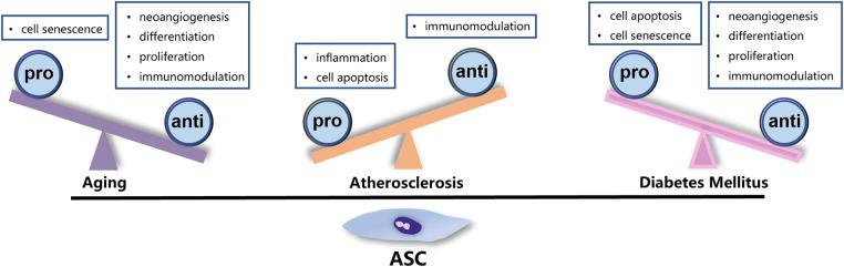 https://cdn.ncbi.nlm.nih.gov/pmc/blobs/a6ce/10834651/6e1f03e23ac9/fcvm-11-1324447-g002.jpg