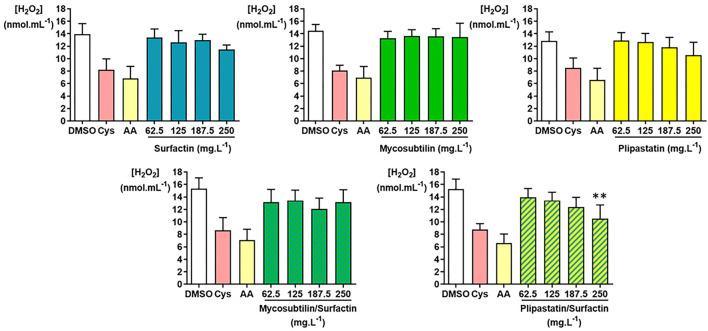 https://cdn.ncbi.nlm.nih.gov/pmc/blobs/a6ce/9251515/61d9c5812da5/fmicb-13-914713-g0004.jpg